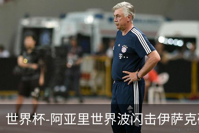 世界杯-阿亚里世界波闪击伊萨克破门 半场瑞典2-1突尼斯