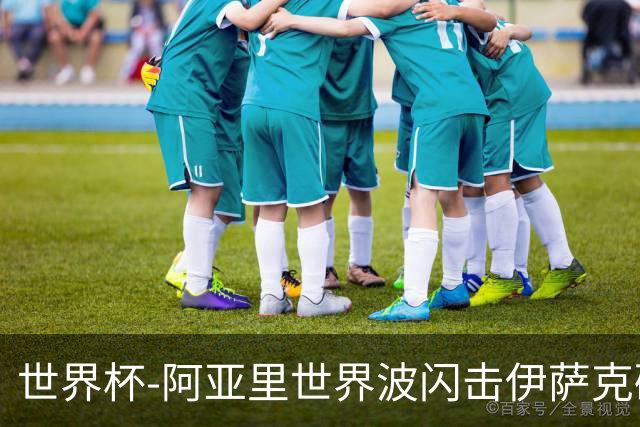 世界杯-阿亚里世界波闪击伊萨克破门 半场瑞典2-1突尼斯